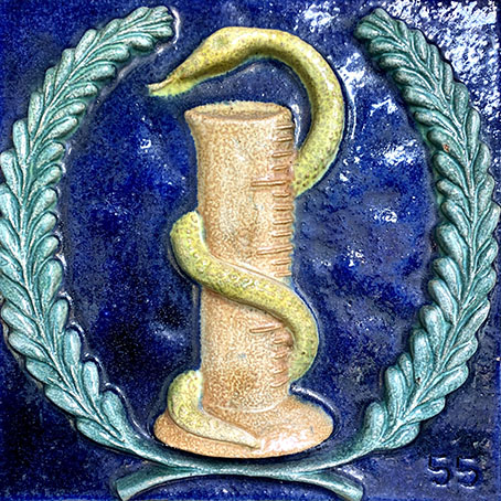 El escudo farmacéutico
